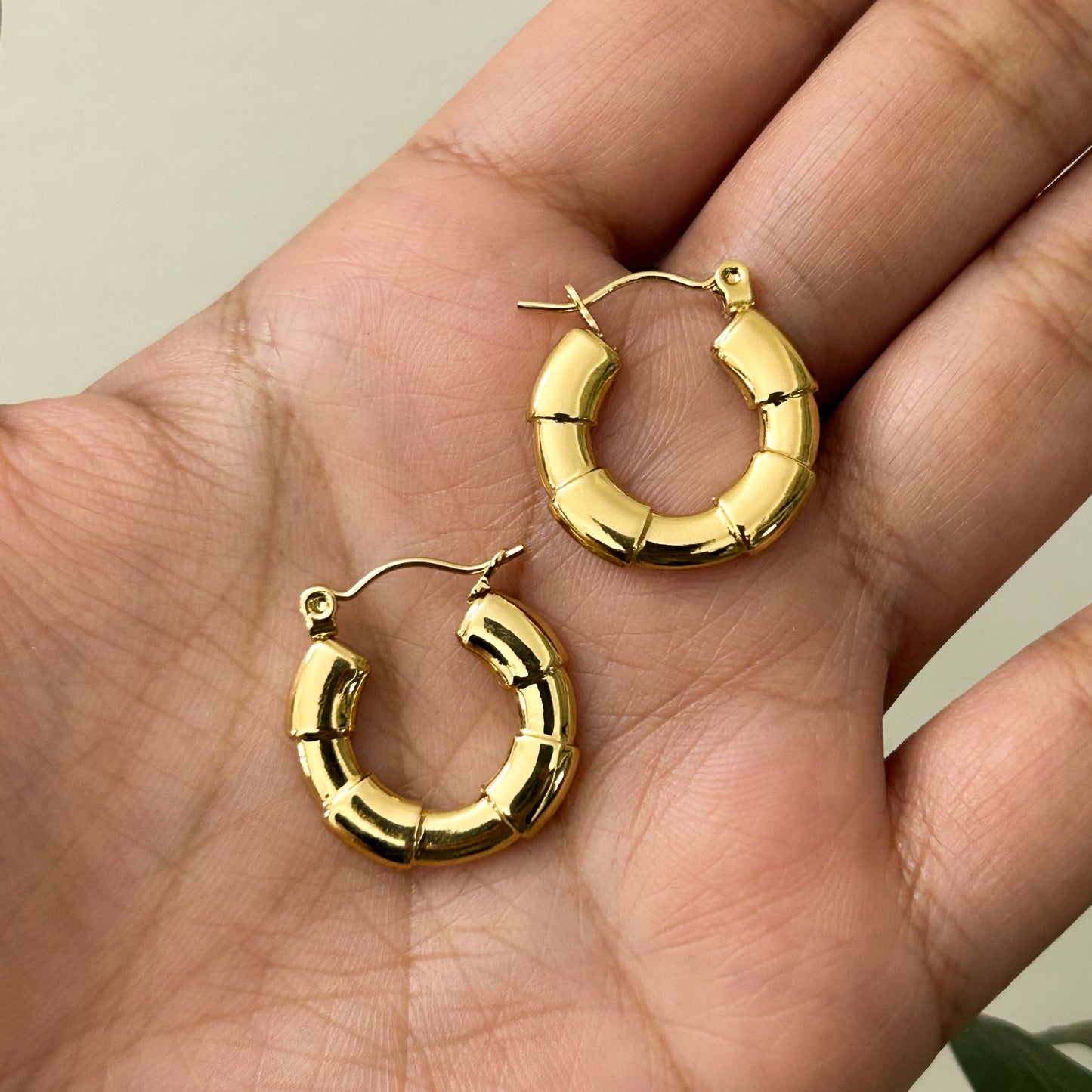 Bamboo Hoop Earrings