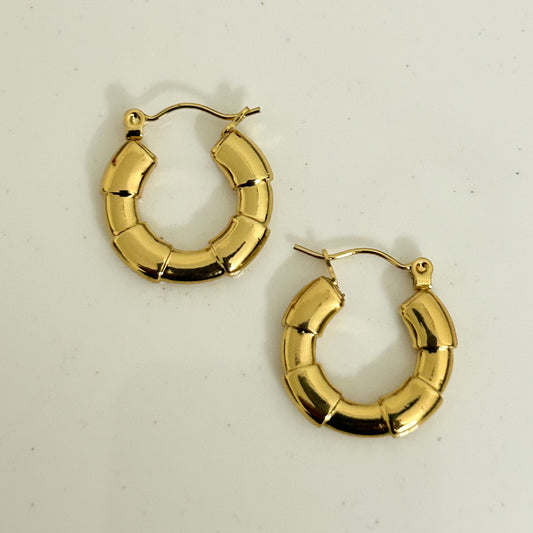 Bamboo Hoop Earrings